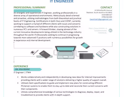 Sample Resume Design (Technology Position)