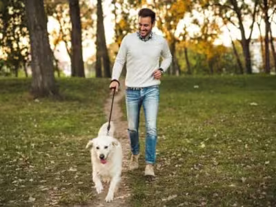 Content Writing for Petcare Blog 
