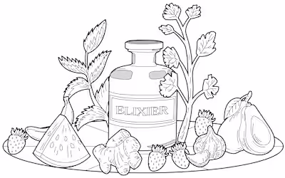 Black & White Line Drawing Illustrations