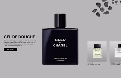 Web-Design For CHANEL