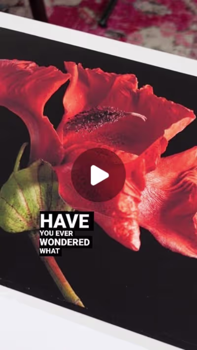 IG REEL: Giclée Printing - The Artist's Choice