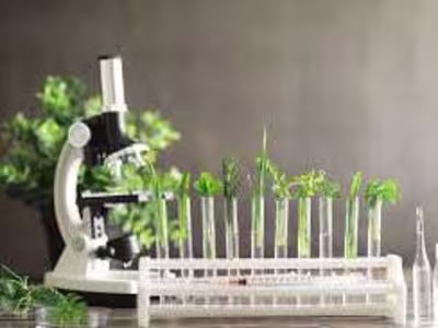 GC-MS Analysis of Beta Vulgaris Extract