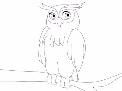 Owl Animation