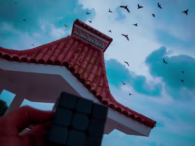 Birds are the beauty of the sky 🌻❤️