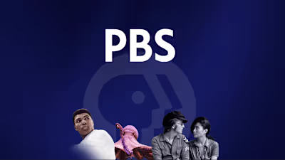 PBS Streaming Ecosystem Design