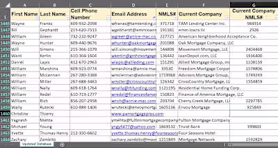 Extensive Excel Data Entry and Web research tasks