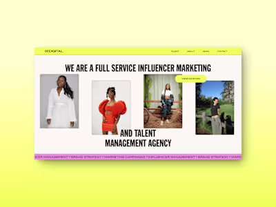 CC Digital Influencer Marketing: WordPress Development