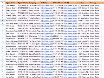 Google Maps Data Scraping
