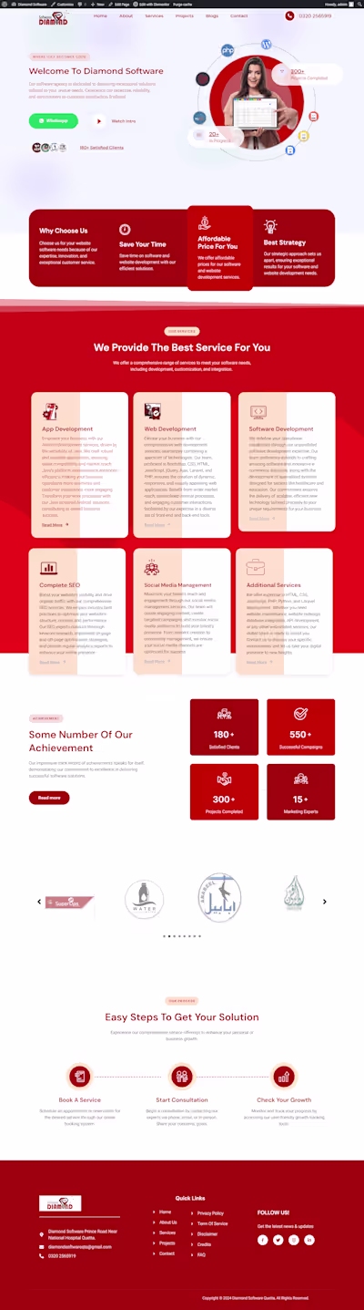Software Agency Website Design