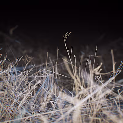 Oat M - Off Season EP Cover Design