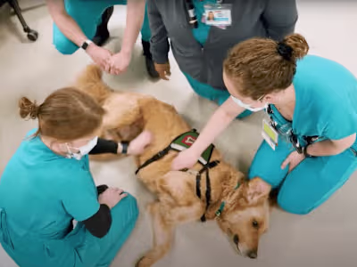 COVID-19 Documentary