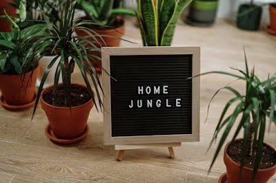 The Art of Indoor Plant Care: Greening Up Your Home