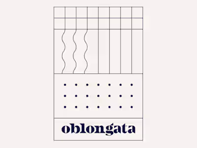 oblongata – branding and visual identity design