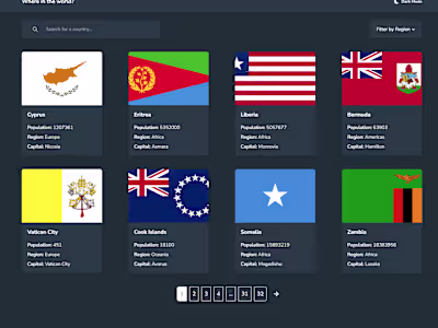 REST Countries Website
