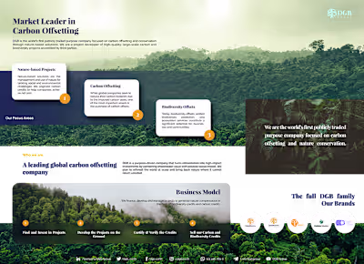 DGB Group Infographic :: Behance