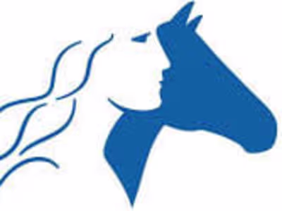Technical Writer