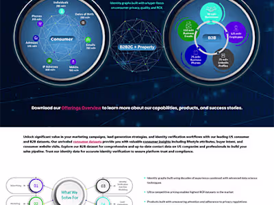 BigDBM Website Redesign Project