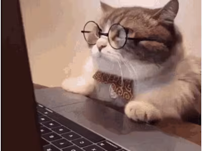 DeFi startup social content