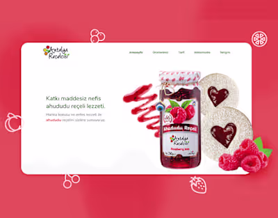 Antalya Reçelcisi Website Redesign