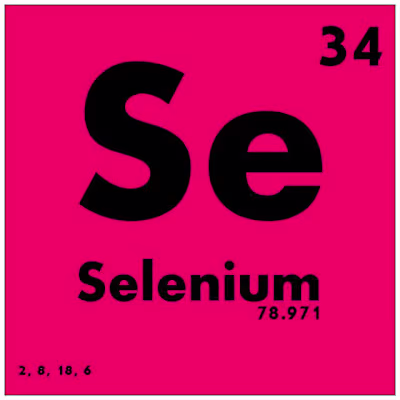 Selenium & Thyroid Health - NutriONN Supplements