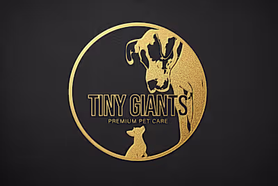 Yvonne Dinneen - Tiny Giants