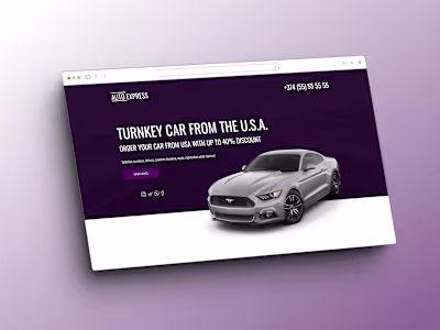 Creating Professional Websites