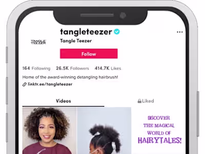 TikTok campaign
