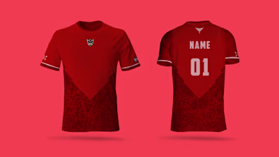 Phoenix Shirt Design
