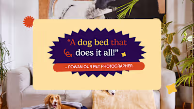 Sluberpooch - Branding