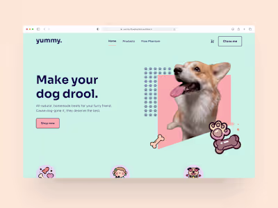 Yummy Dog Treats
