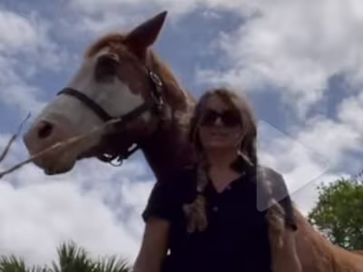 Equestrian Lifestyle and Brand Content