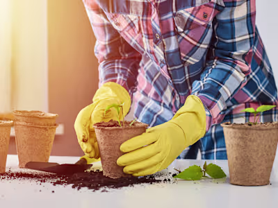 Blog about container gardening I wrote for a client on Fiverr