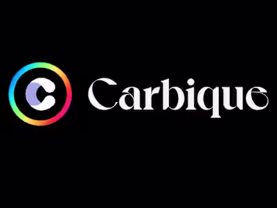 Carbique Web Features Project