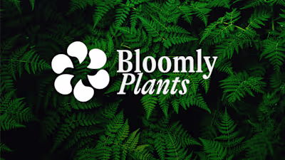 Bloomly Plants- Logo & Visual Identity
