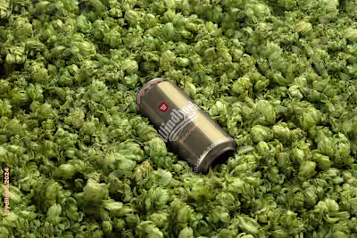 Brewvolution: Rethinking Beer Packaging