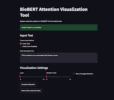 BioBERT Attention Visualization Tool
An interactive