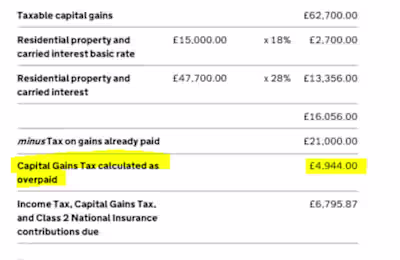 Comprehensive Tax Return Management