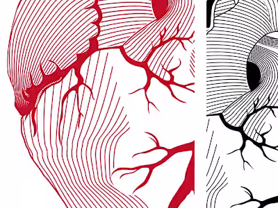 Heart illustration made for Wroclaw Medical Univeristy