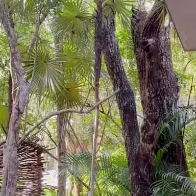 Samantha Kunz on Instagram: ”@kaabaluum in TULUM, MEXICOOOO for…