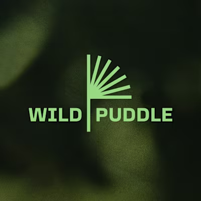 Brand Identity and Website Development for Wild Puddle