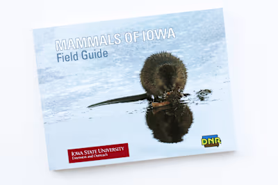 Mammals of Iowa Field Guide
