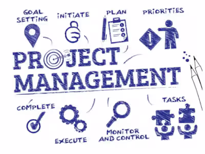 Project coordinator