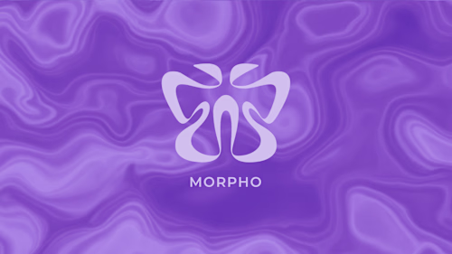 Morpho App