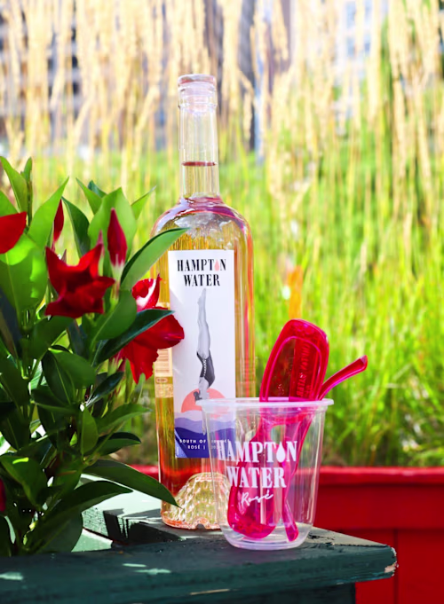 Photography and Video Collaboration with