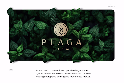 Plaga Farm | Brand Identity