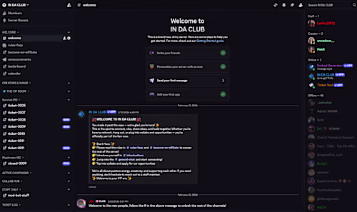 Discord Server Design & Community