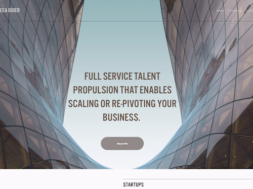 Website for Consultant 