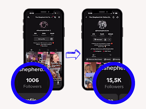 TikTok Manager, Strategist & Creator - The Shepherd Ink