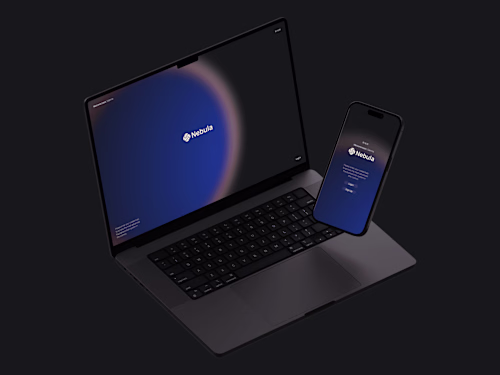 Nebula: Next-generation SaaS dashboard for fraud prevention. 