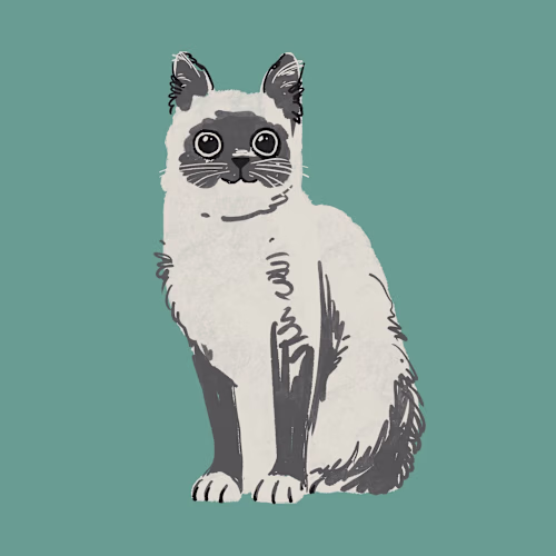 Illustrative pet portraits